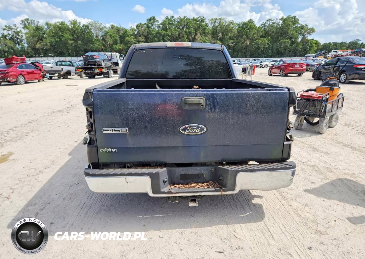 2005 Ford F150 Supercrew VIN:1FTRW14W65FB07603 - 6