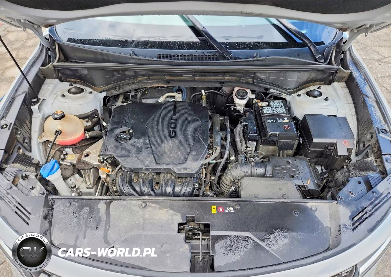 2022 Kia Sorento S VIN:5XYRLDLC5NG081669 - 12