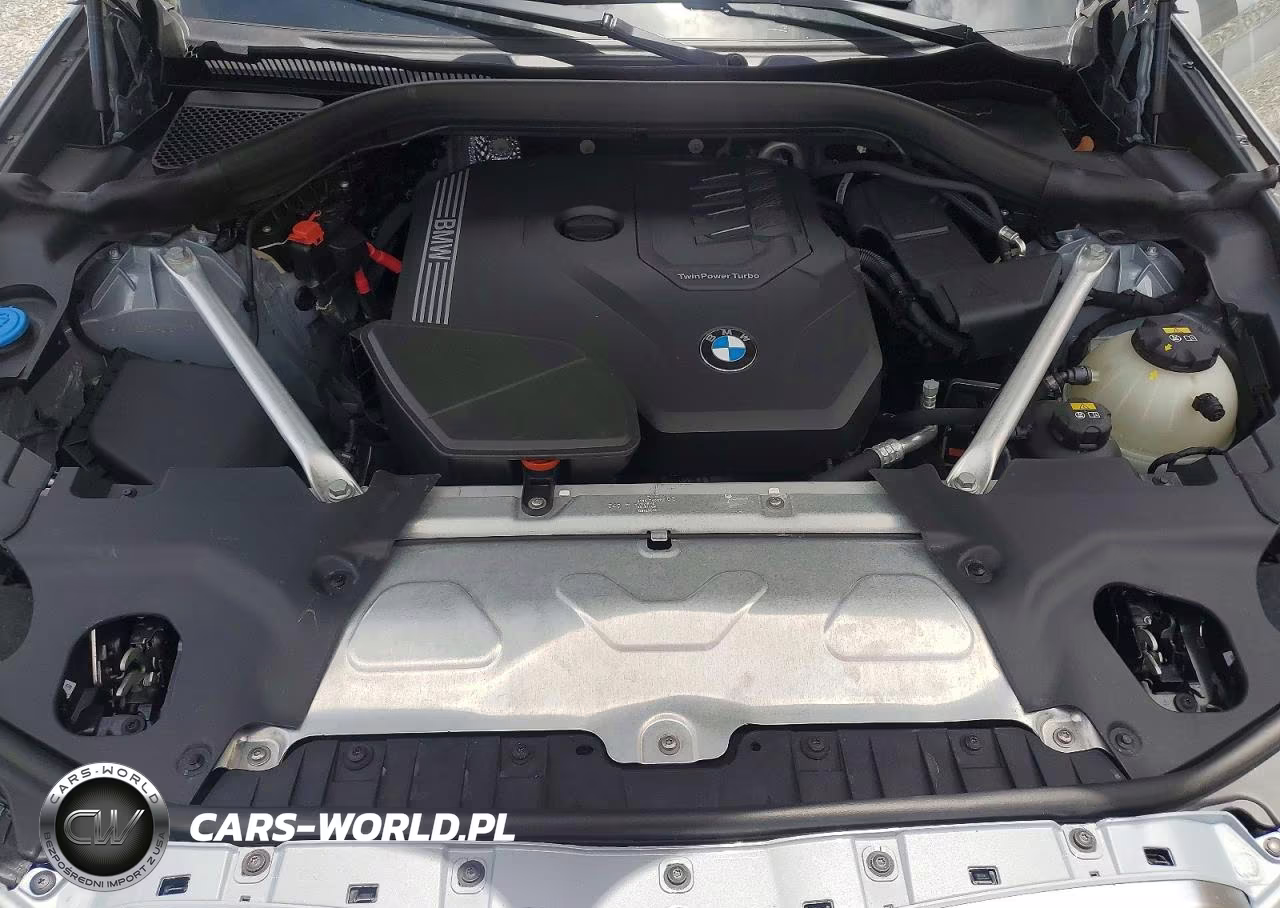 2023 BMW X3 Sdrive30I VIN:5UX43DP0XP9N98219 - 12