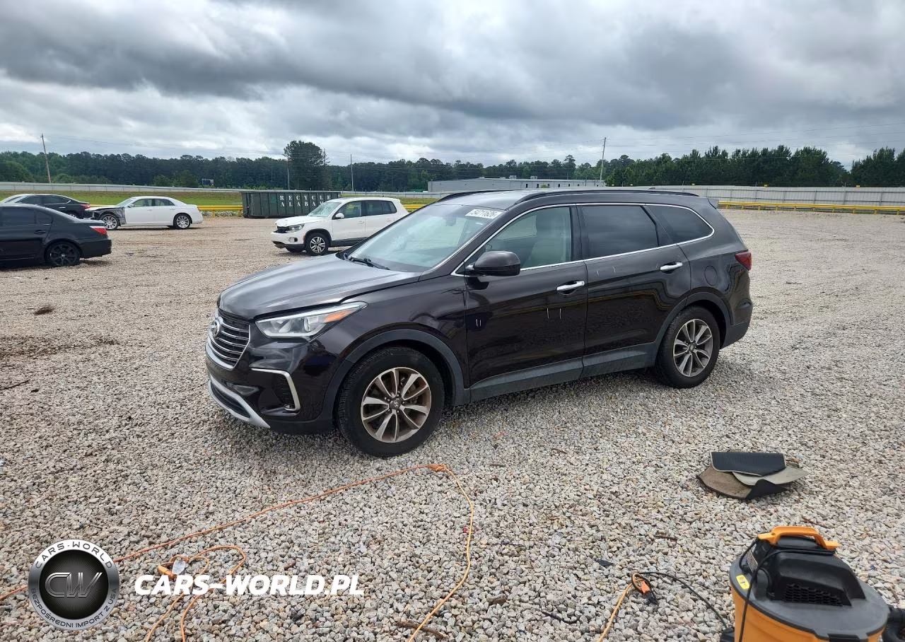 2017 Hyundai Santa Fe Se – zdjęcie 1 z 13