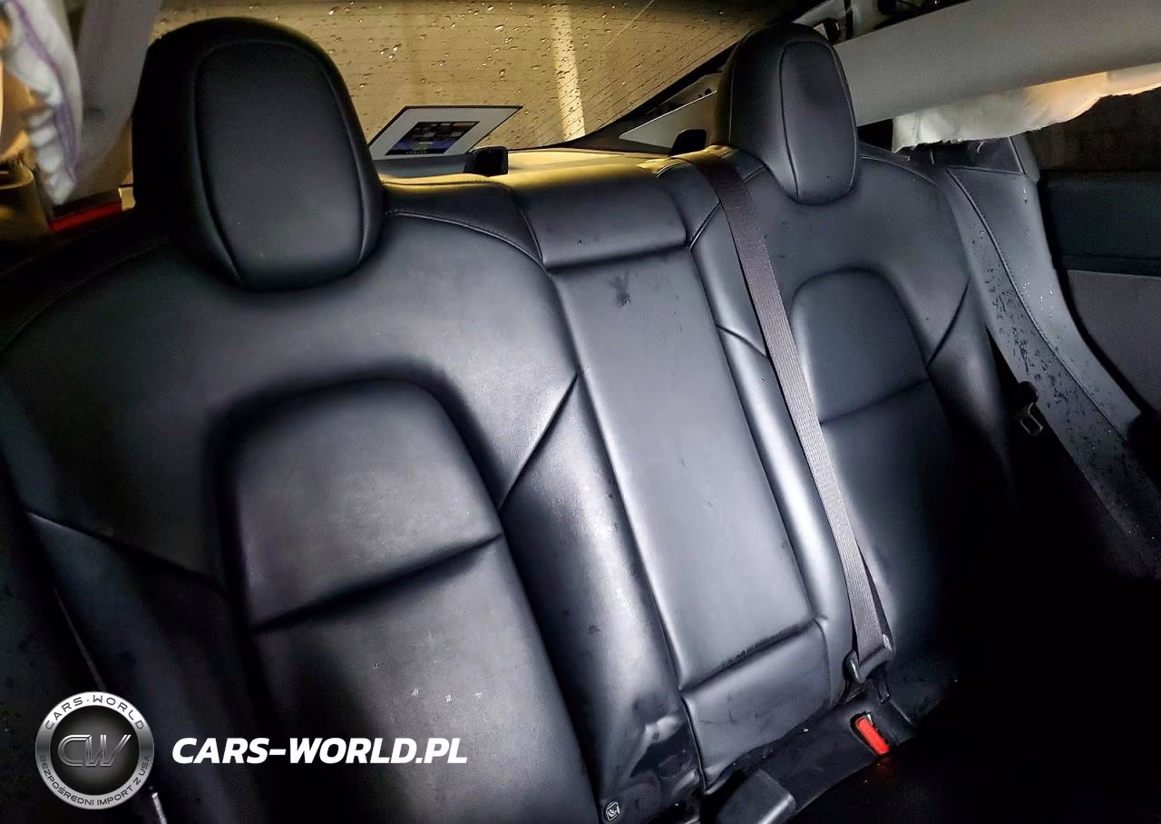 2020 Tesla Model 3 VIN:5YJ3E1EA6LF808011 - 10