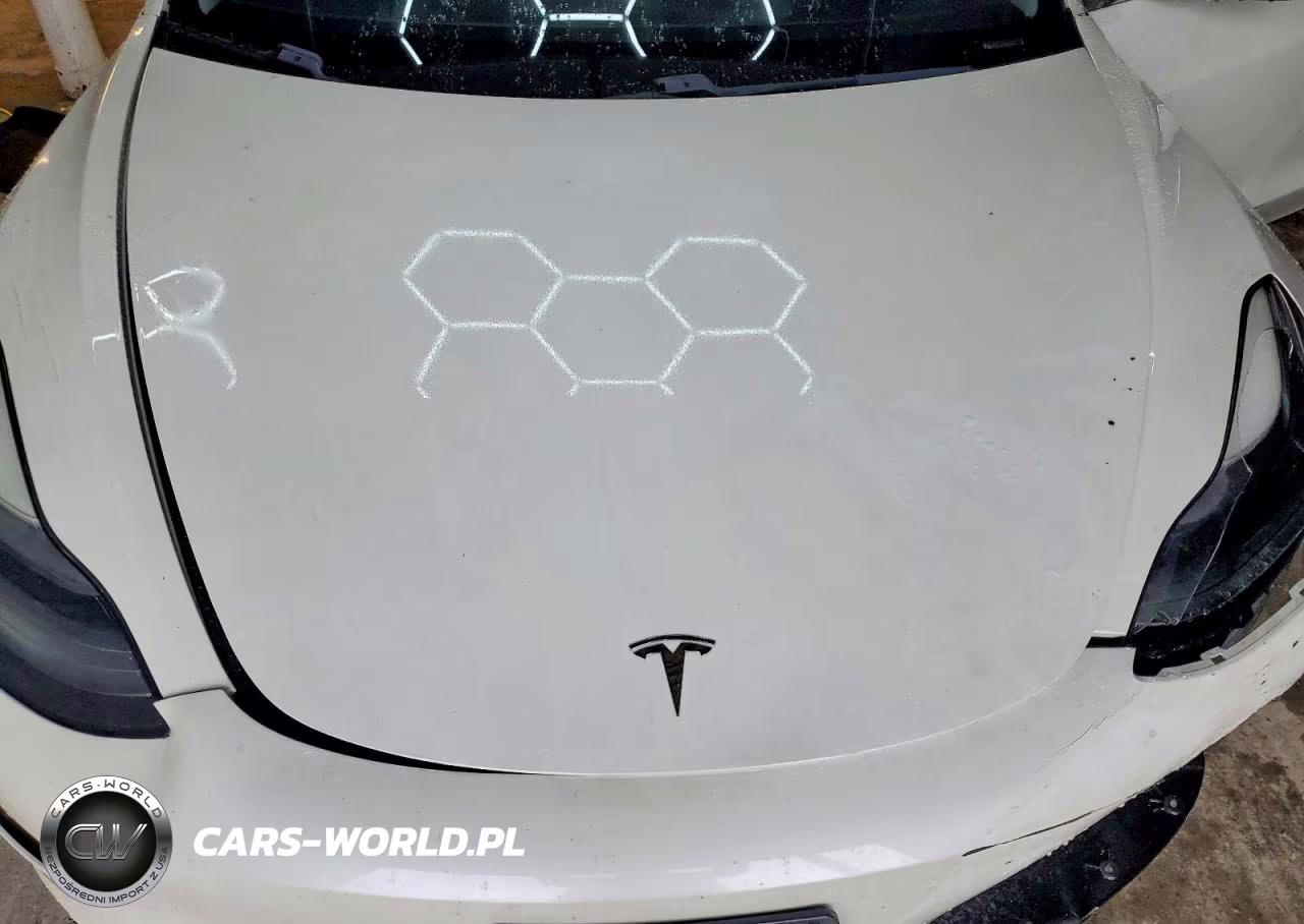 2020 Tesla Model 3 VIN:5YJ3E1EA6LF808011 - 11