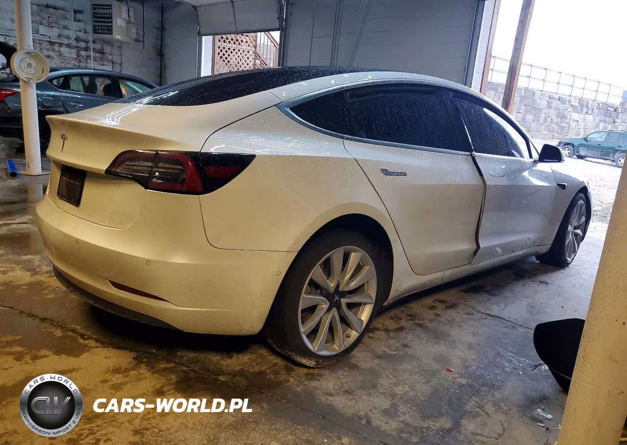 2020 Tesla Model 3 VIN:5YJ3E1EA6LF808011 - 3