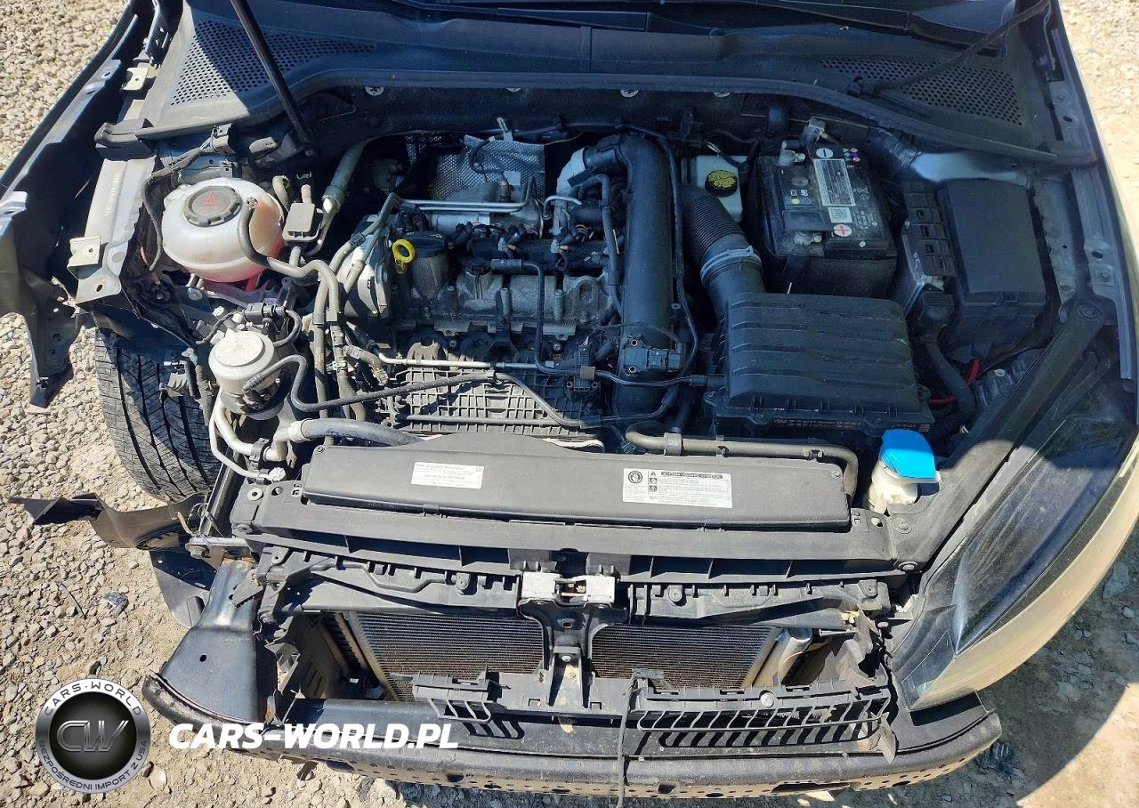 2019 Volkswagen Golf S VIN:3VWW57AUXKM032831 - 11