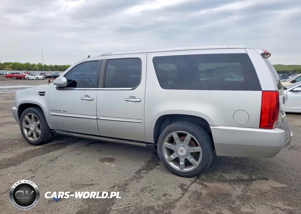 2010 Cadillac Escalade Esv Premium VIN:1GYUKJEF8AR260801 - 2