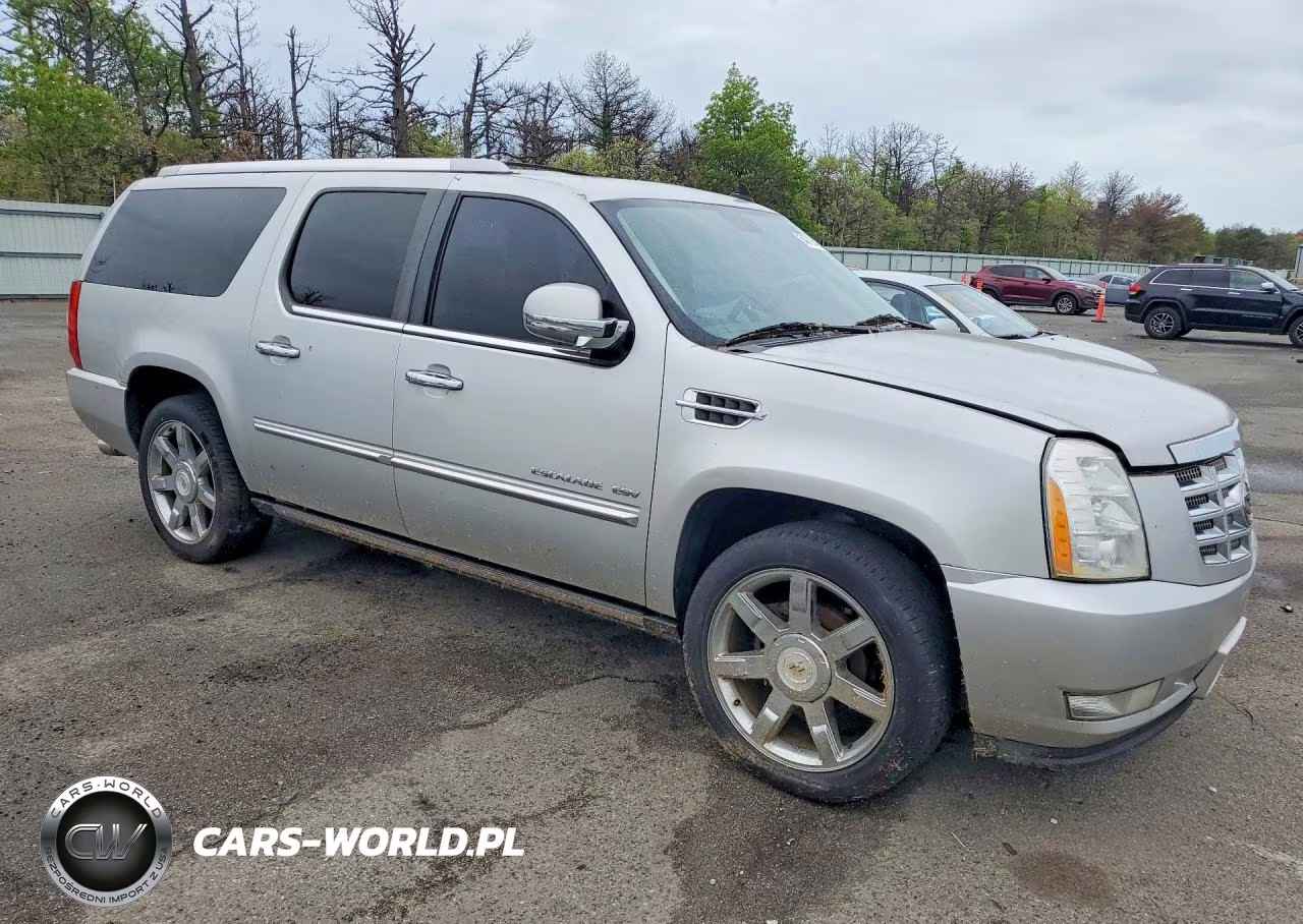 2010 Cadillac Escalade Esv Premium VIN:1GYUKJEF8AR260801 - 4