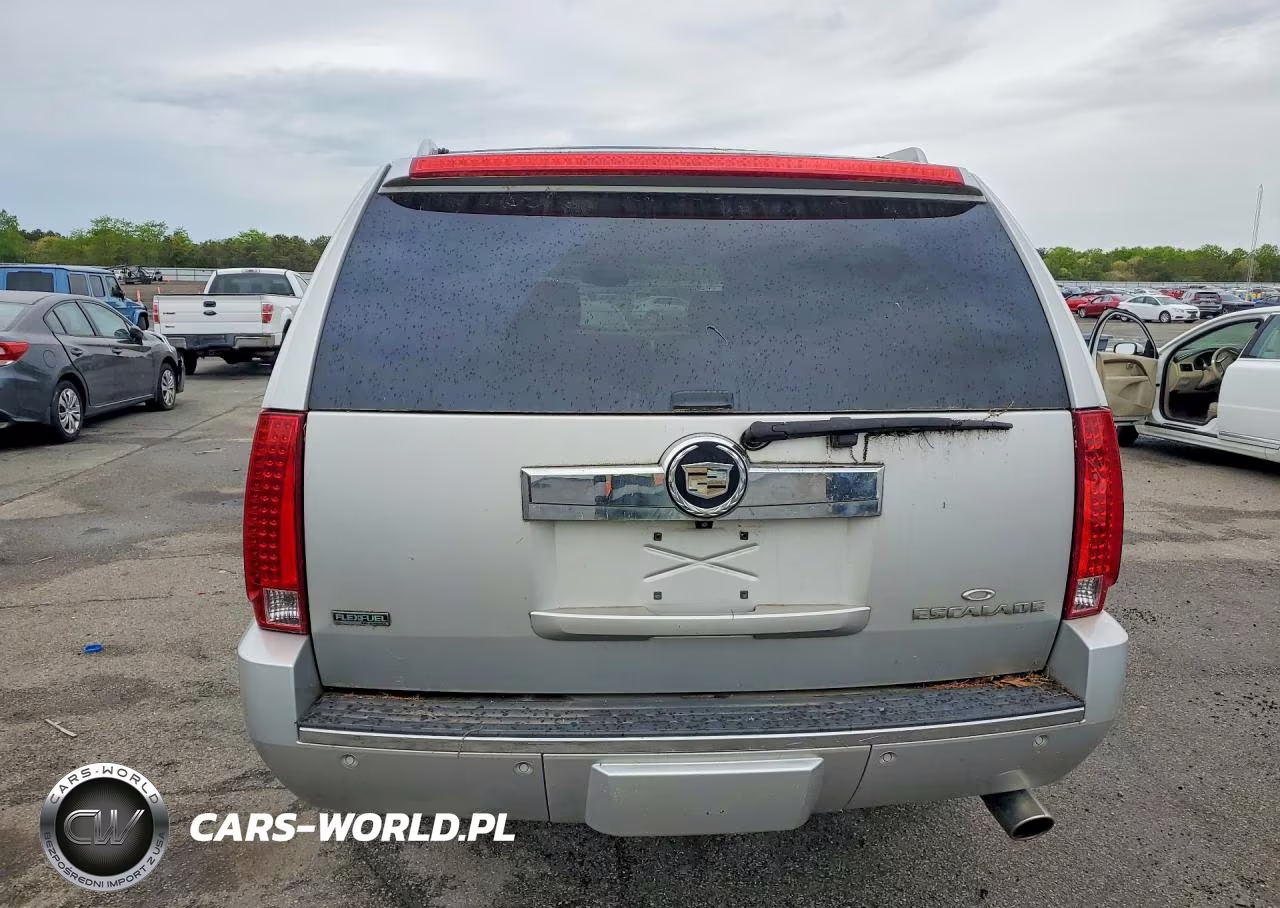 2010 Cadillac Escalade Esv Premium VIN:1GYUKJEF8AR260801 - 6