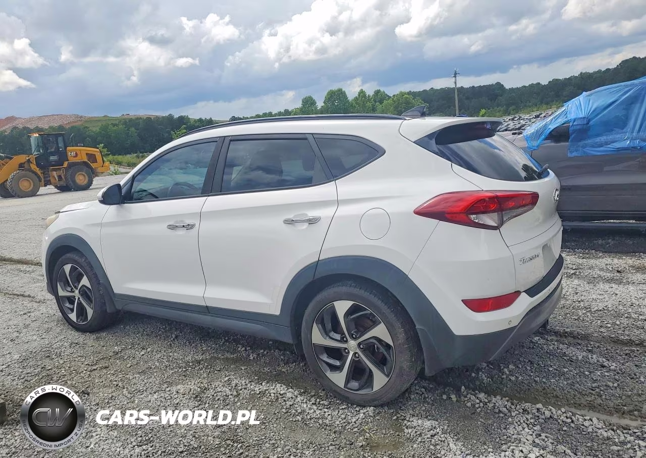 2016 Hyundai Tucson Limited VIN:KM8J33A24GU190316 - 2