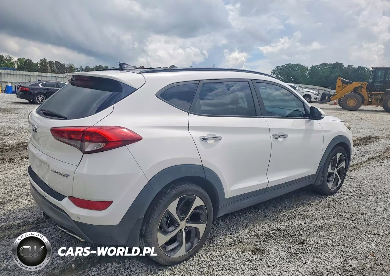 2016 Hyundai Tucson Limited VIN:KM8J33A24GU190316 - 3