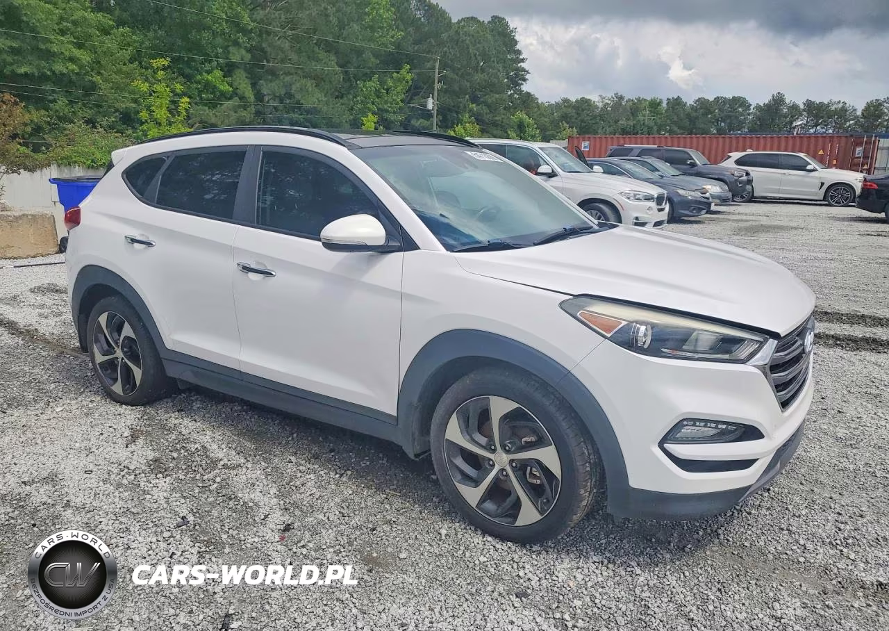 2016 Hyundai Tucson Limited VIN:KM8J33A24GU190316 - 4