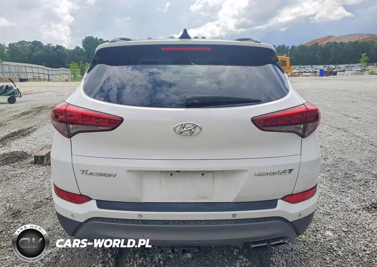2016 Hyundai Tucson Limited VIN:KM8J33A24GU190316 - 6