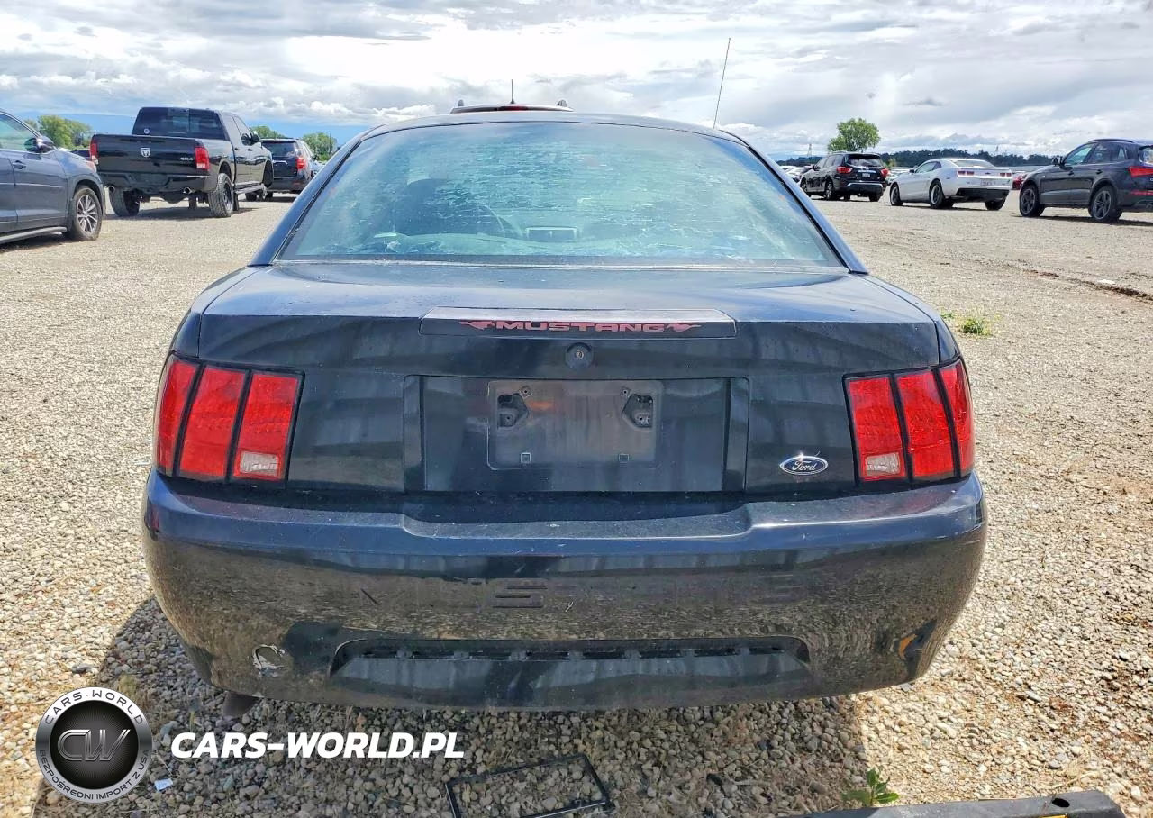 2004 Ford Mustang VIN:1FAFP40484F102588 - 6