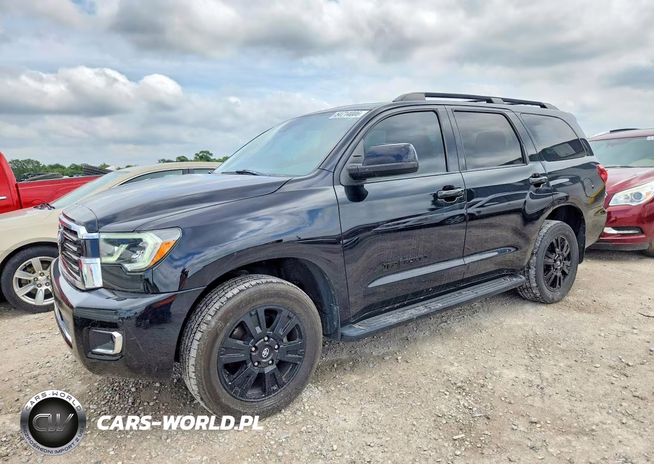 2019 Toyota Sequoia Trd Sport VIN:5TDBY5G10KS171389 - 1
