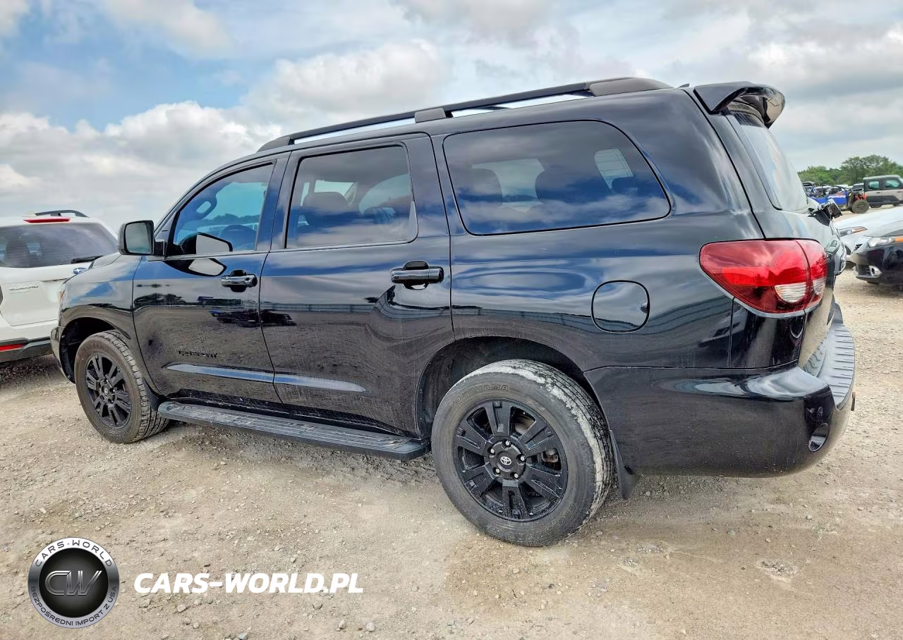 2019 Toyota Sequoia Trd Sport VIN:5TDBY5G10KS171389 - 2
