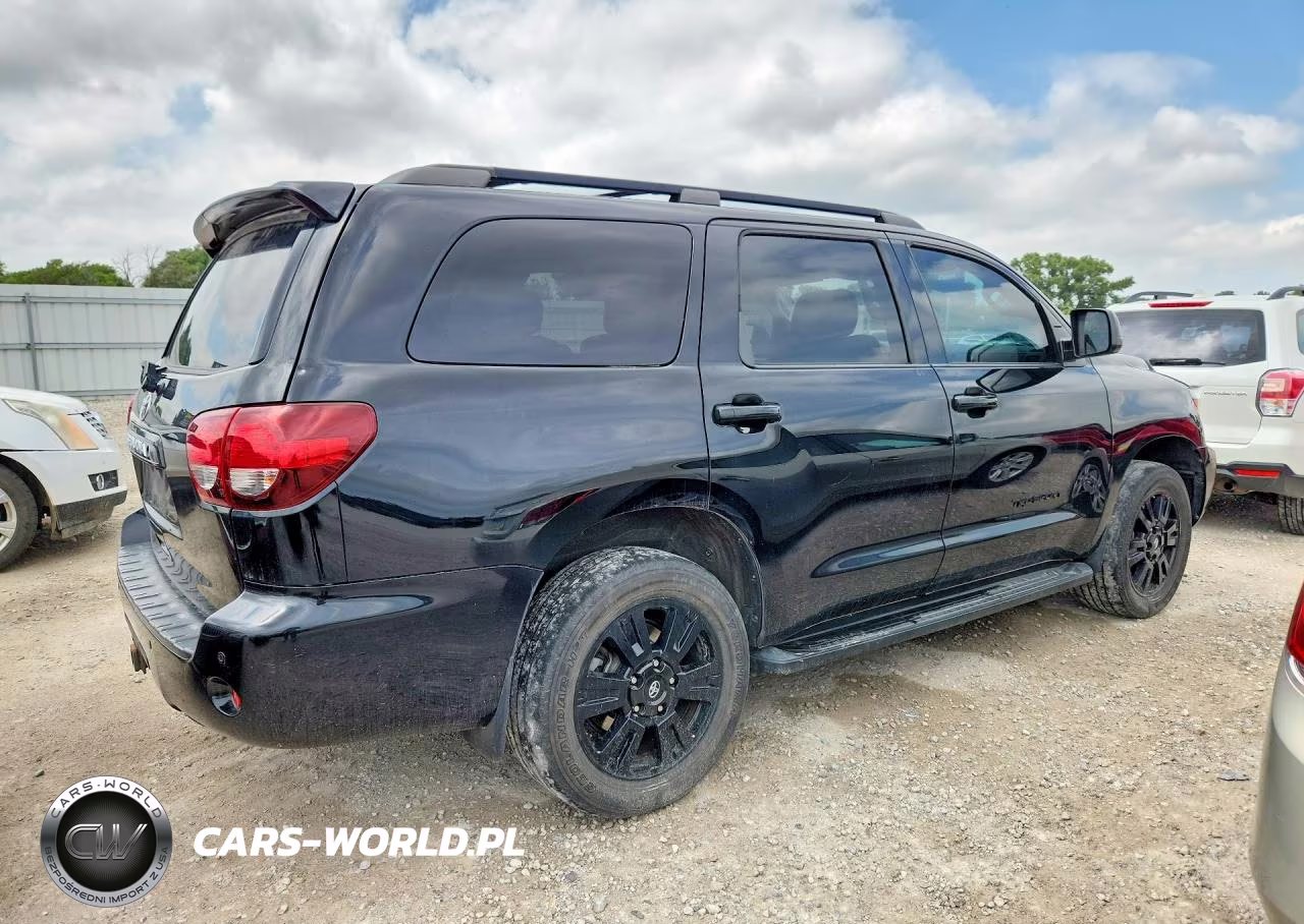 2019 Toyota Sequoia Trd Sport VIN:5TDBY5G10KS171389 - 3
