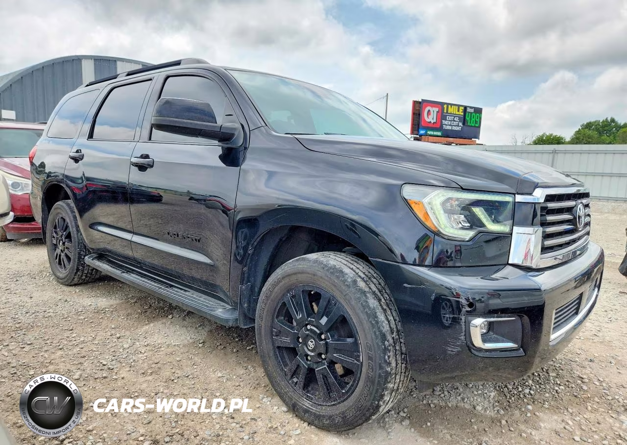 2019 Toyota Sequoia Trd Sport VIN:5TDBY5G10KS171389 - 4