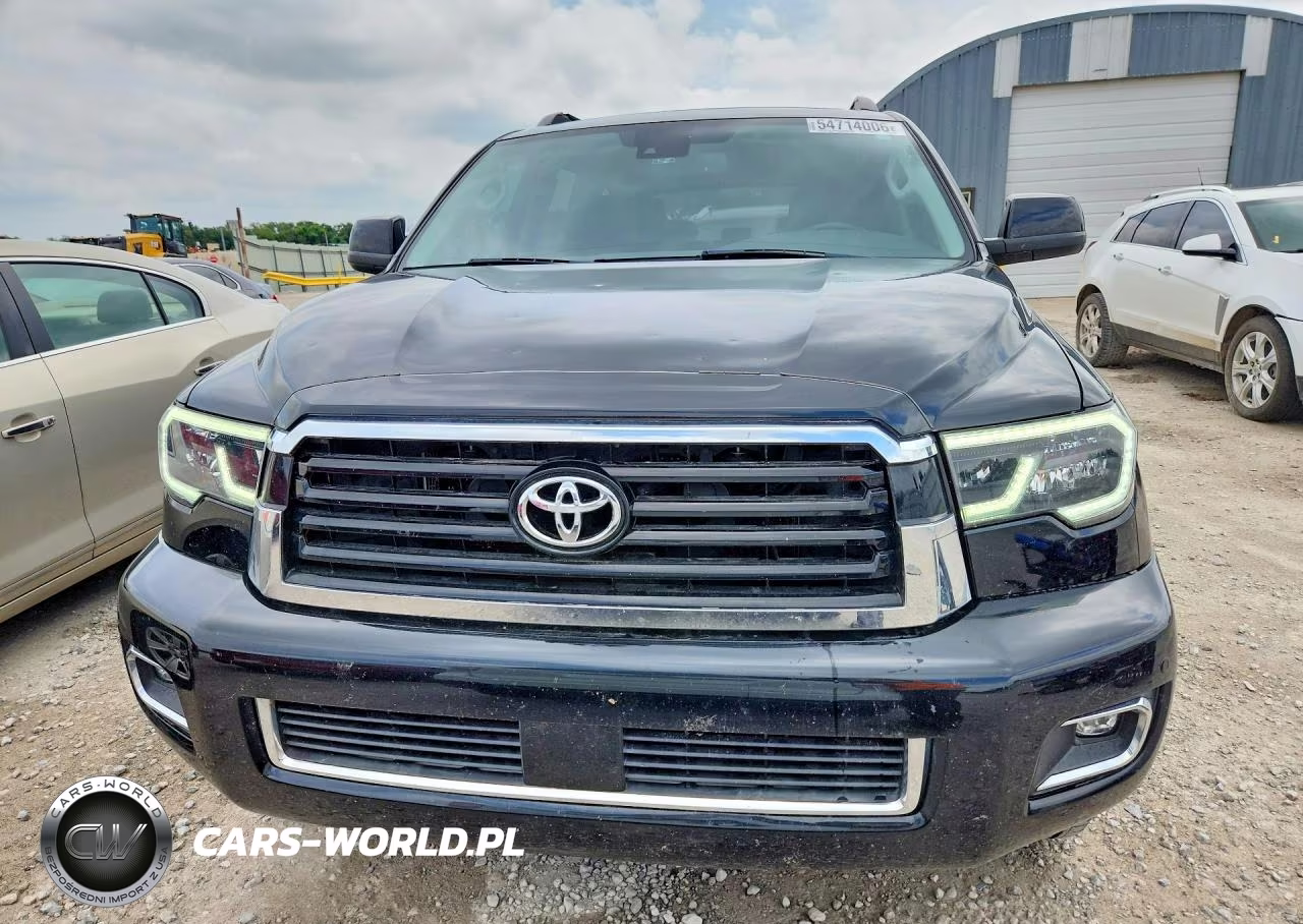 2019 Toyota Sequoia Trd Sport VIN:5TDBY5G10KS171389 - 5