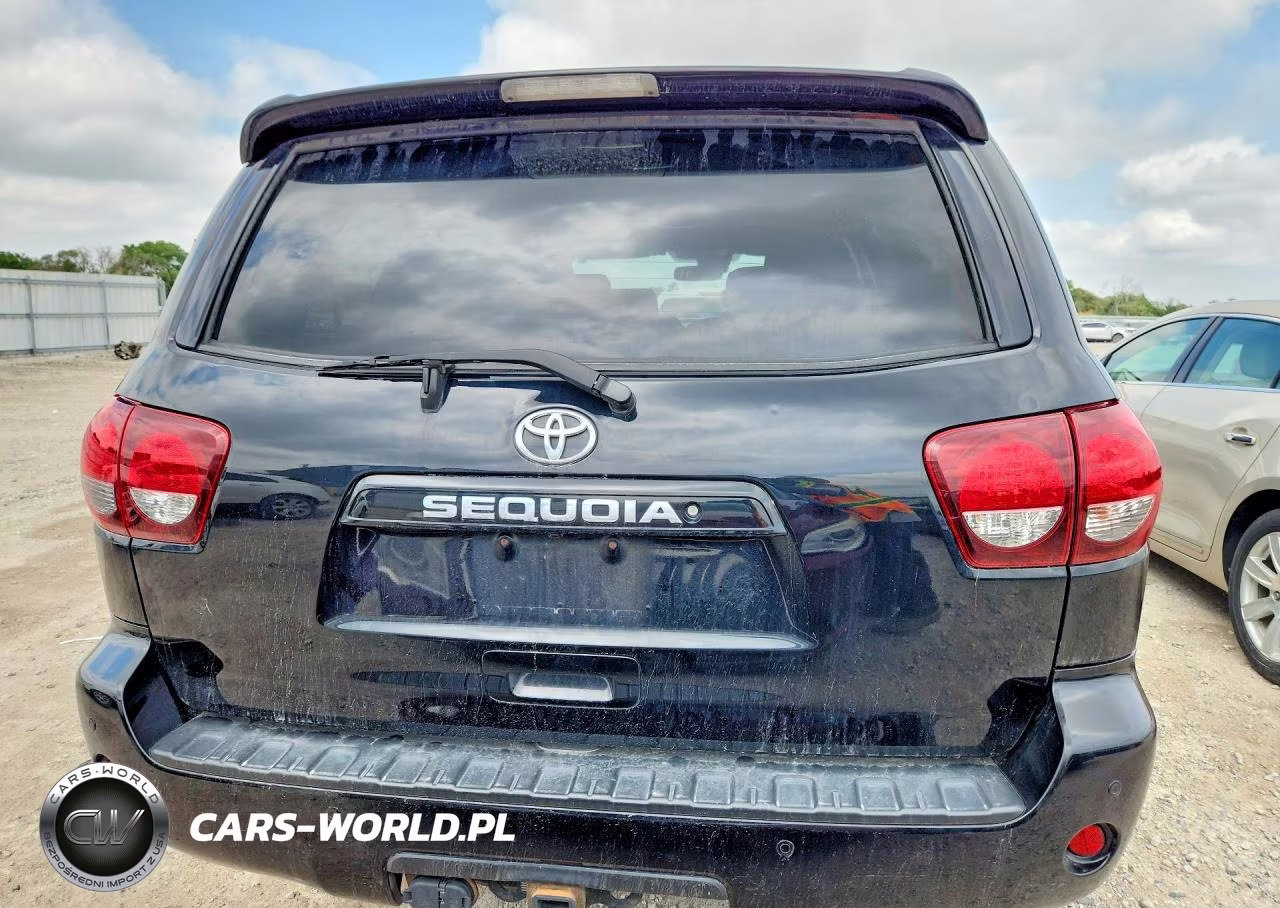 2019 Toyota Sequoia Trd Sport VIN:5TDBY5G10KS171389 - 6