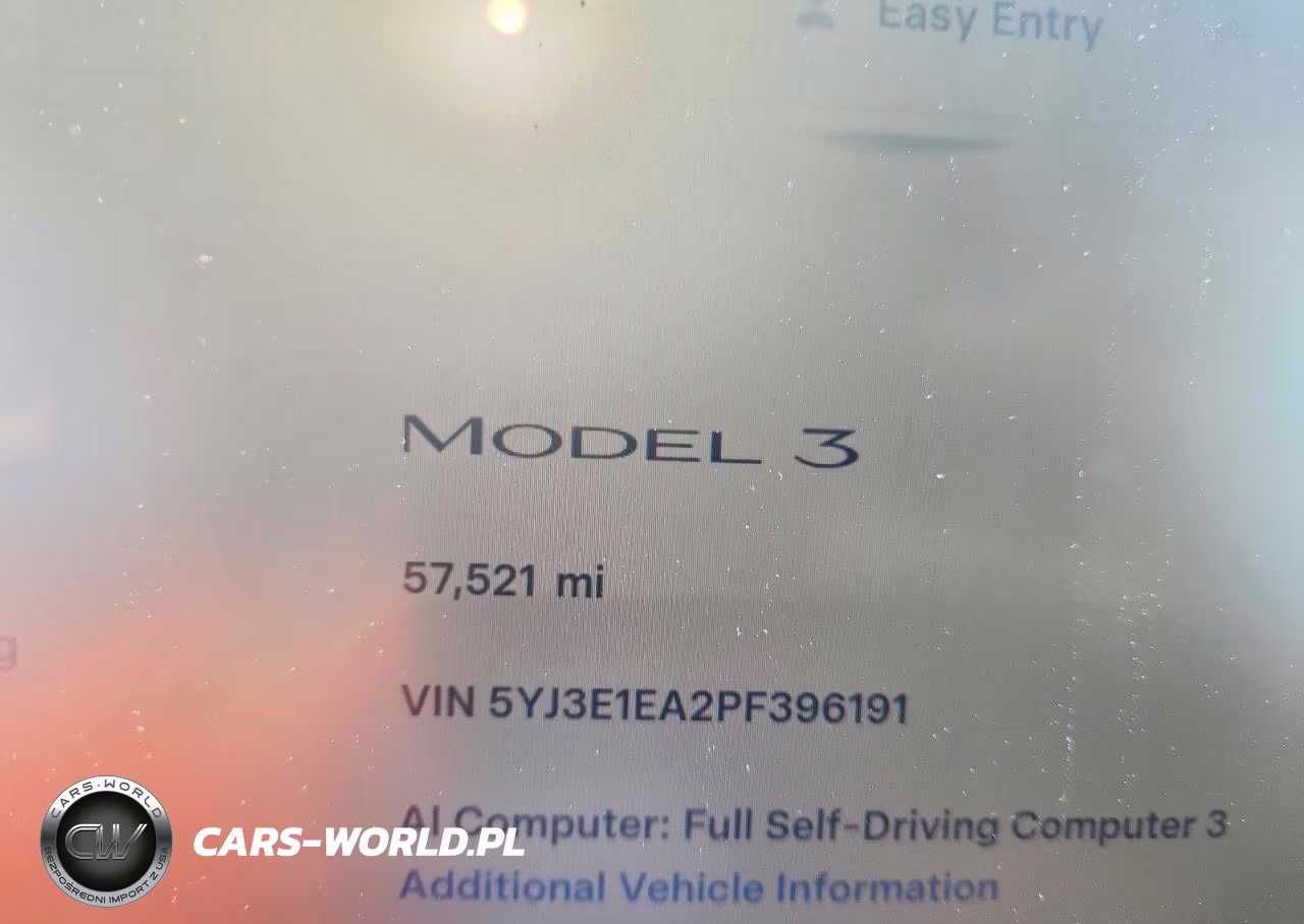 2023 Tesla Model 3 VIN:5YJ3E1EA2PF396191 - 9