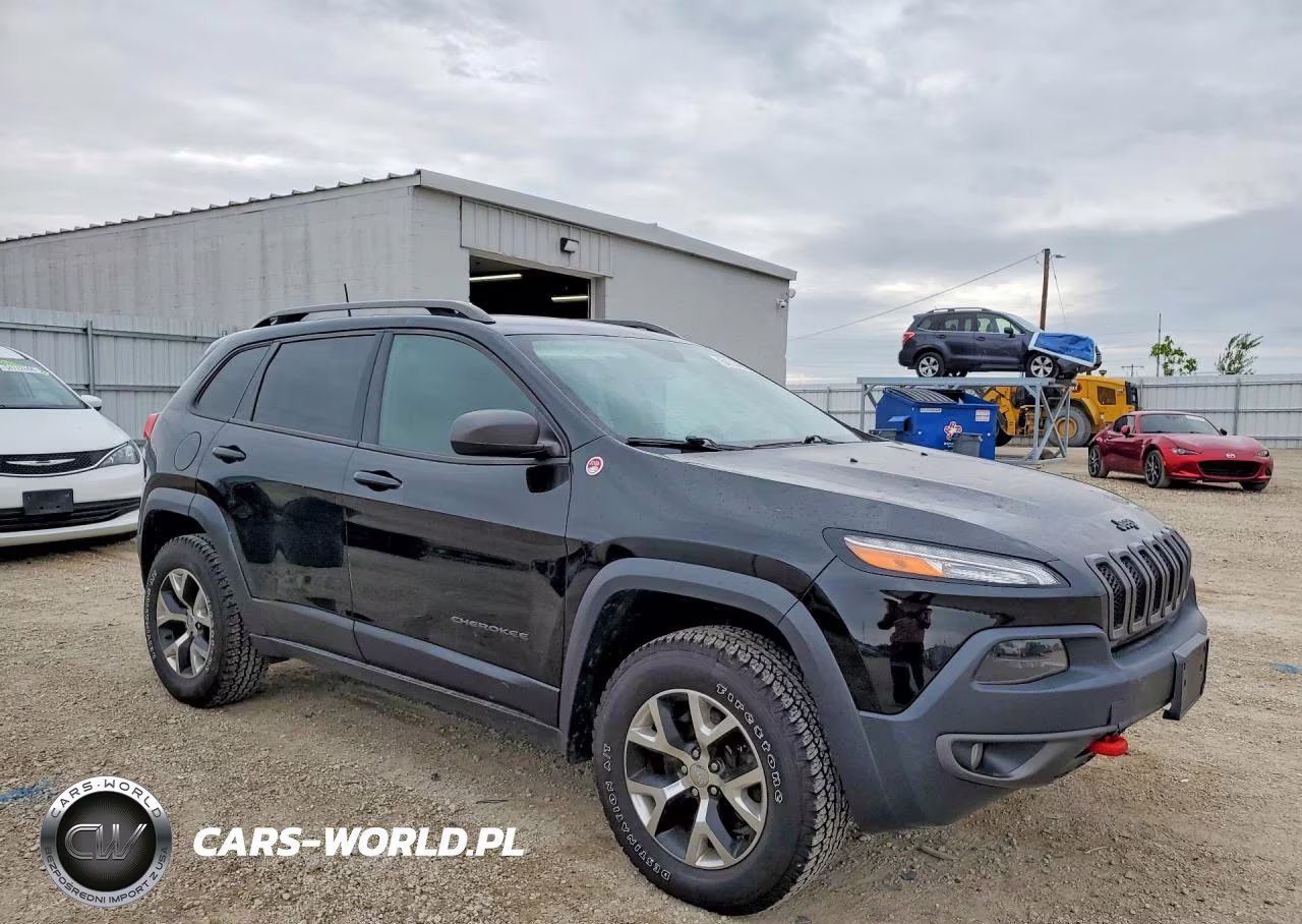 2017 Jeep Cherokee Trailhawk VIN:1C4PJMBS8HW552209 - 4
