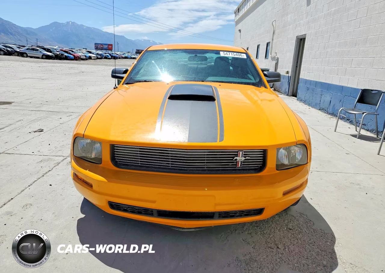 2008 Ford Mustang VIN:1ZVHT80N585196288 - 5