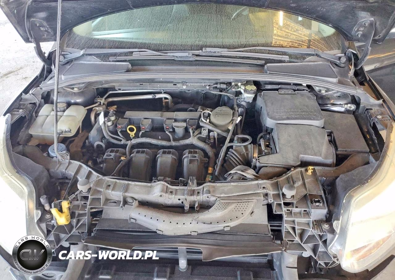 2013 Ford Focus Se VIN:1FADP3F23DL236157 - 11