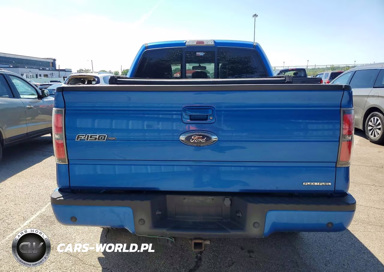 2013 Ford F150 Supercrew VIN:1FTFW1EF7DKF29290 - 6