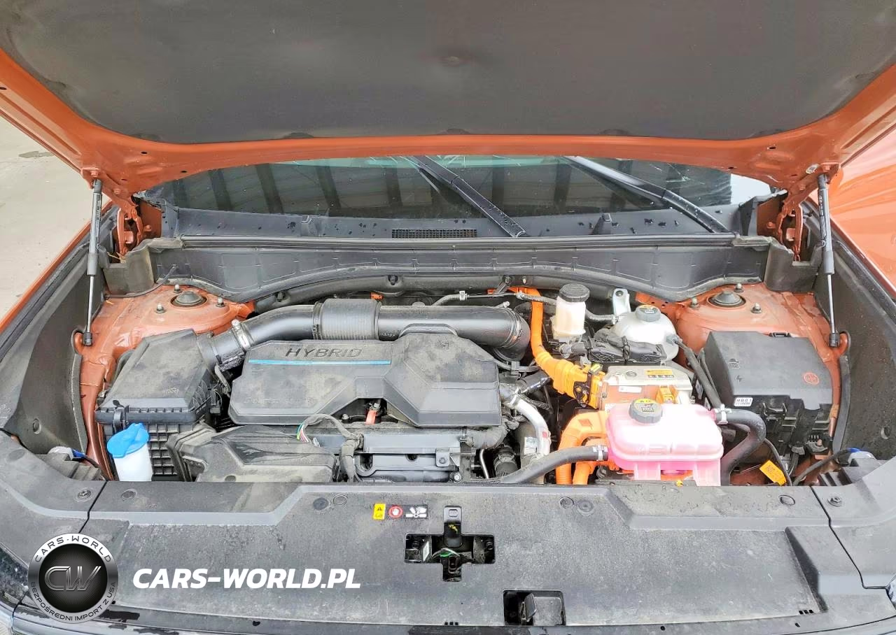 2025 Hyundai Santa Fe Limited VIN:5NMP3DG11SH022667 - 12