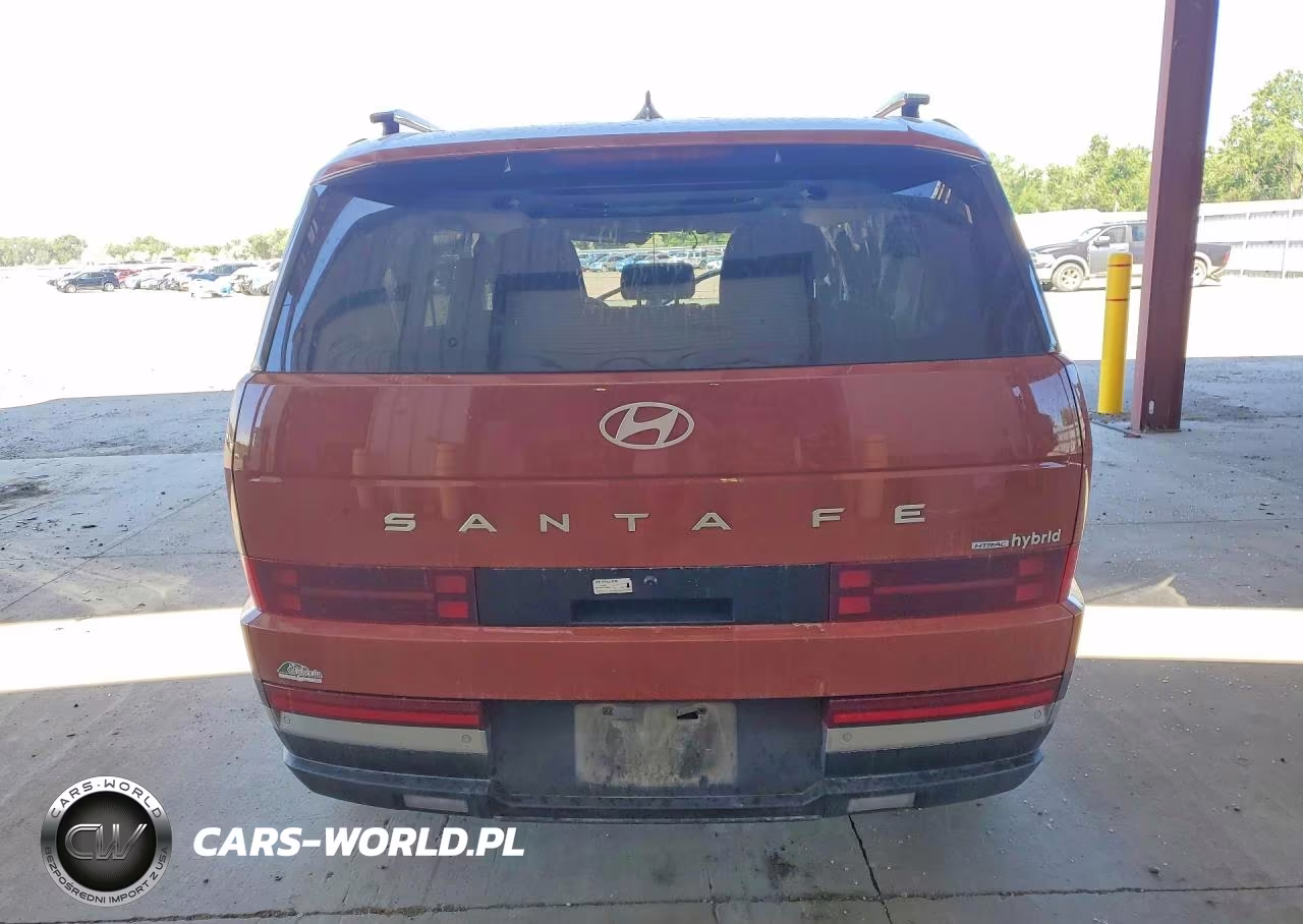 2025 Hyundai Santa Fe Limited VIN:5NMP3DG11SH022667 - 6