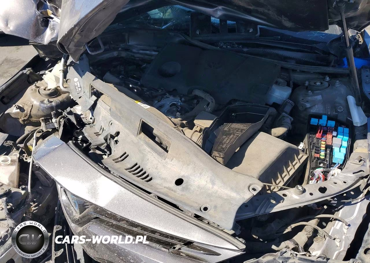2019 Toyota Camry Le VIN:4T1B31HK2KU006482 - 11