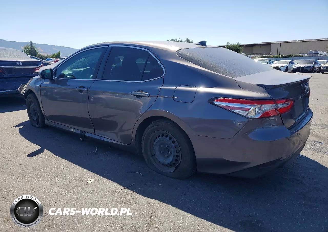 2019 Toyota Camry Le VIN:4T1B31HK2KU006482 - 2