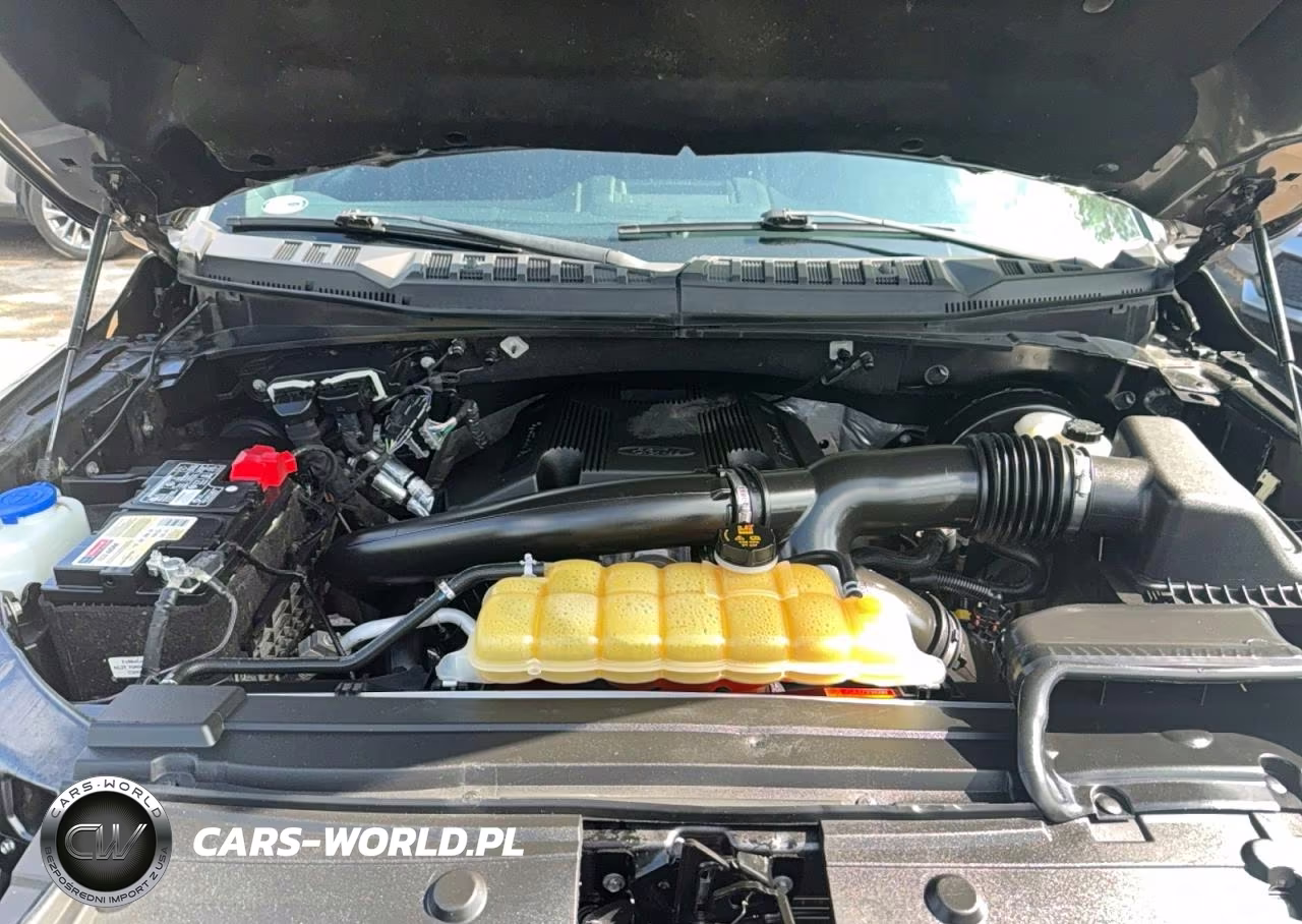 2019 Ford F150 Supercrew VIN:1FTEW1C43KKE46224 - 7