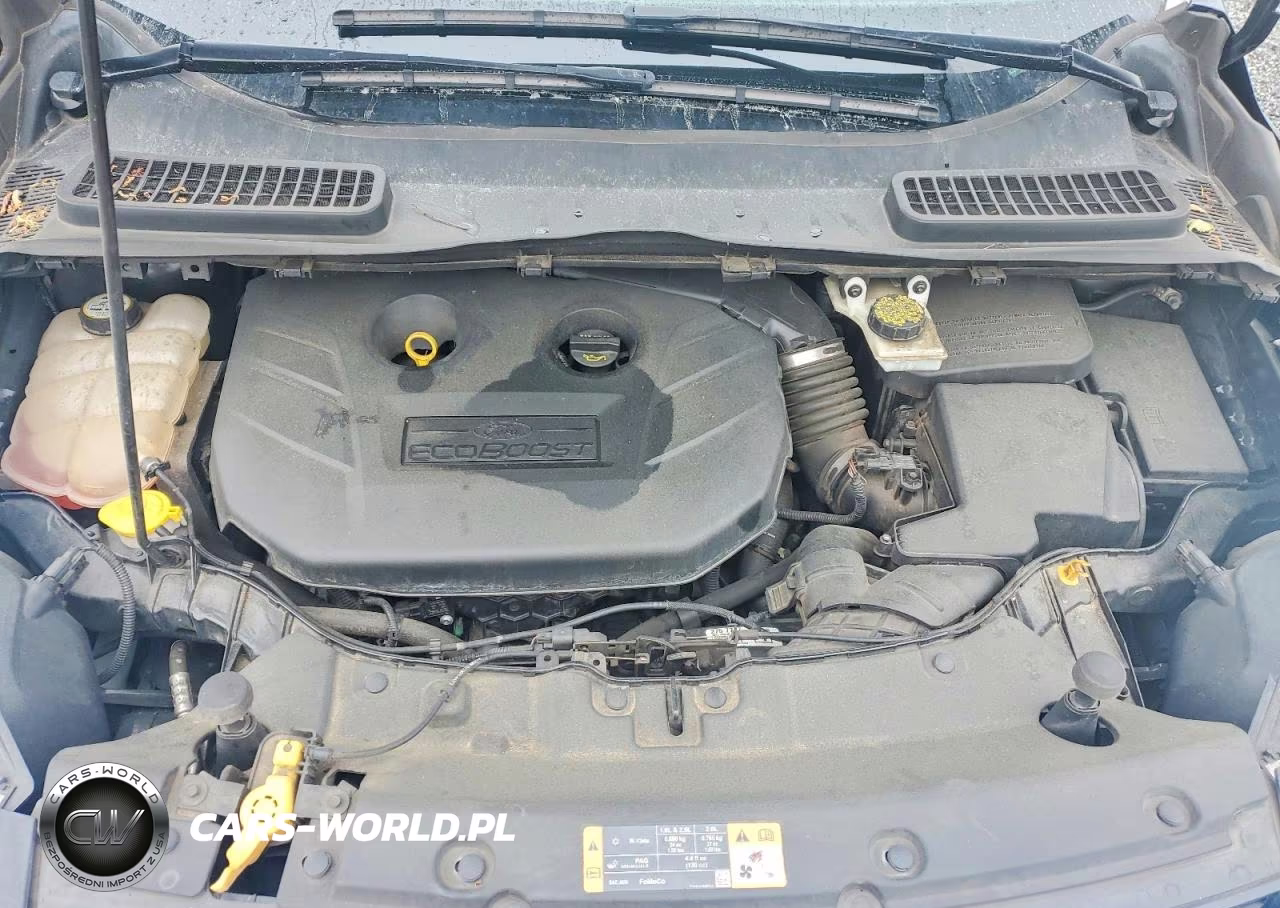 2013 Ford Escape Sel VIN:1FMCU0H98DUB36097 - 11