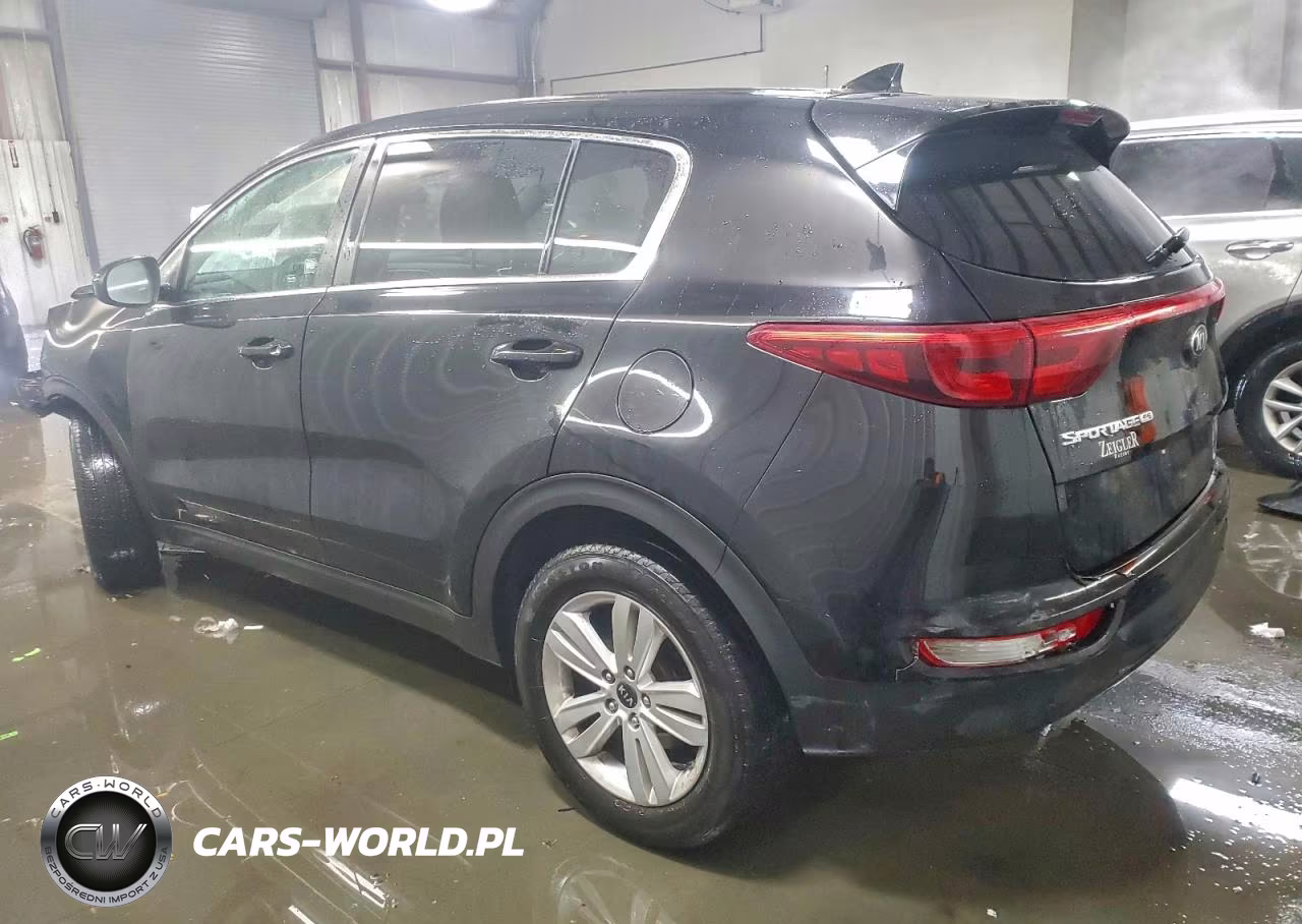 2019 Kia Sportage Lx VIN:KNDPM3AC3K7562160 - 2