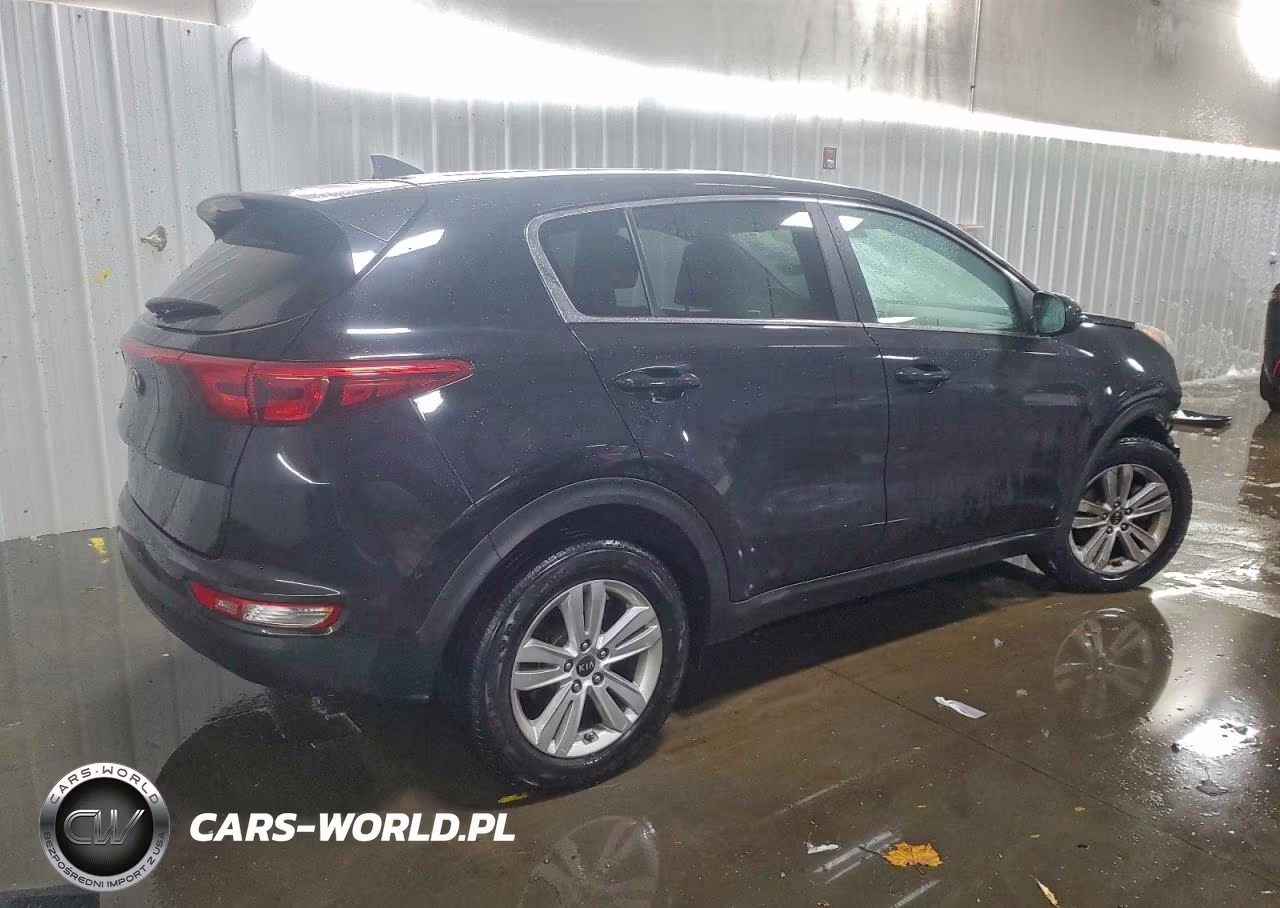 2019 Kia Sportage Lx VIN:KNDPM3AC3K7562160 - 3