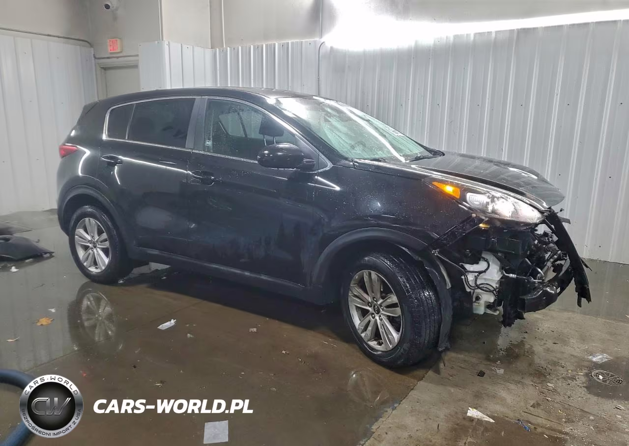 2019 Kia Sportage Lx VIN:KNDPM3AC3K7562160 - 4