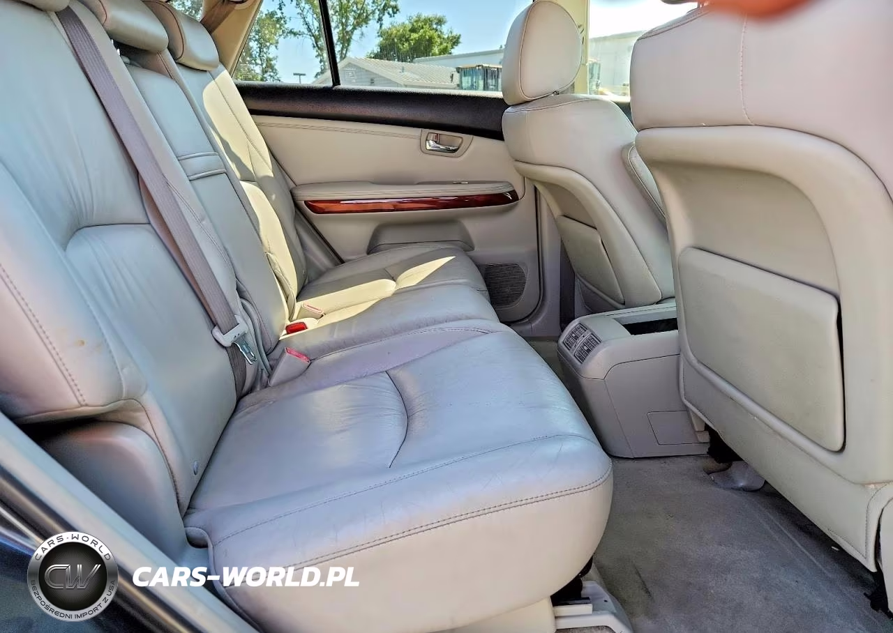 2006 Lexus Rx 330 VIN:JTJGA31U960060945 - 10