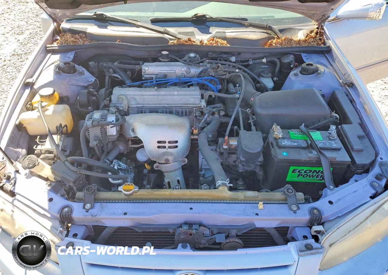 1997 Toyota Camry Le VIN:JT2BG22KXV0055134 - 11