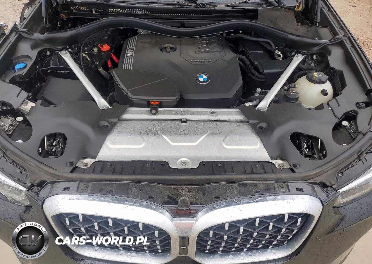 2025 BMW X4 xDrive30I VIN:5UX33DT09S9X83419 - 12