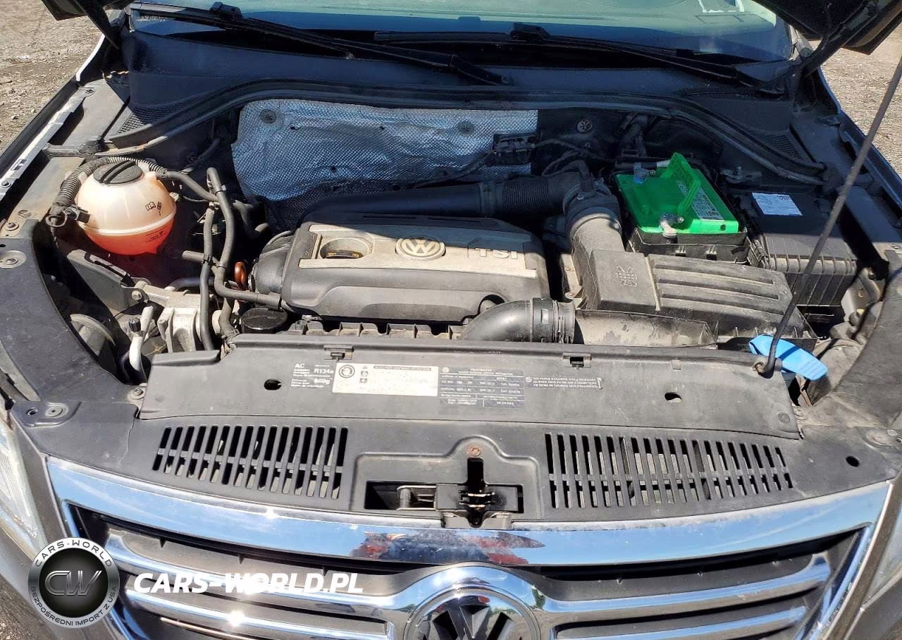 2011 Volkswagen Tiguan S VIN:WVGBV7AX2BW513034 - 12