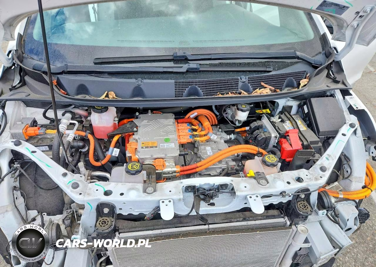 2019 Chevrolet Bolt Ev Lt VIN:1G1FY6S0XK4116779 - 11