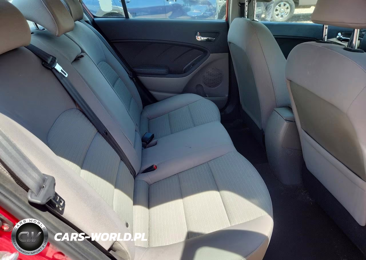 2015 Kia Forte Lx VIN:KNAFX4A69F5430277 - 10