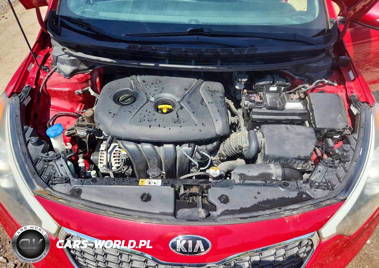 2015 Kia Forte Lx VIN:KNAFX4A69F5430277 - 11