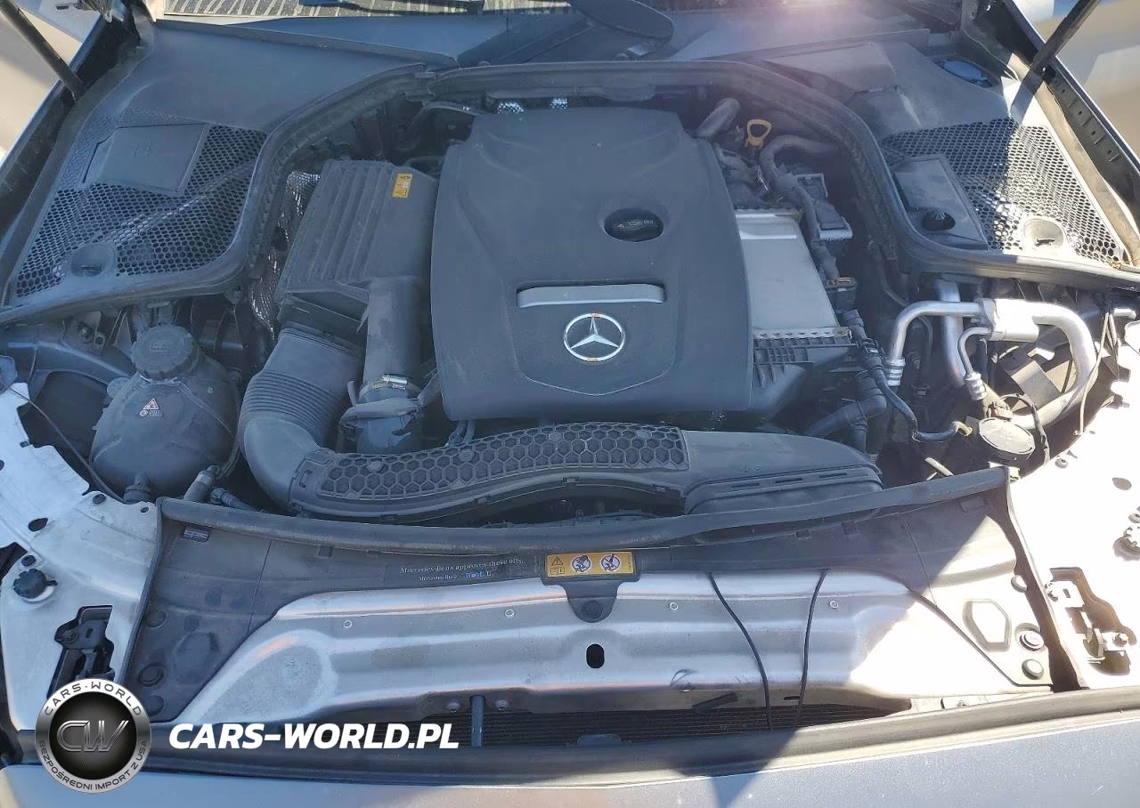 2018 Mercedes-Benz C 300 VIN:WDDWJ4JB0JF681313 - 11