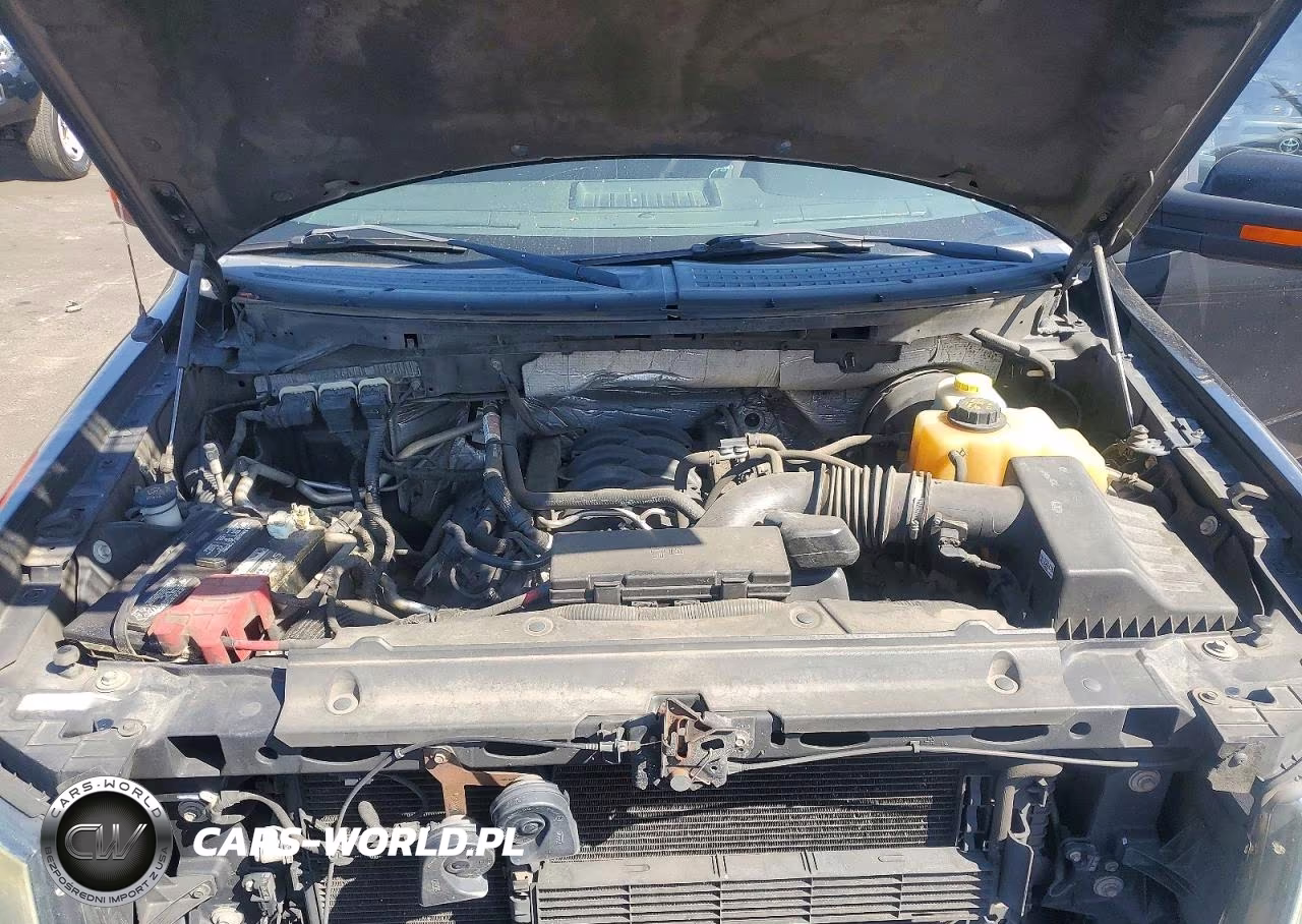 2014 Ford F150 VIN:1FTFW1CF8EFA77122 - 11