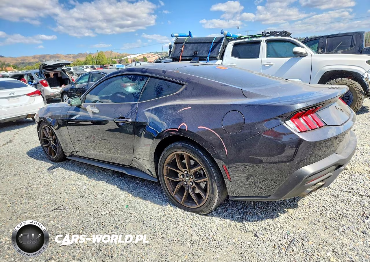 2024 Ford Mustang VIN:1FA6P8TH3R5136067 - 2