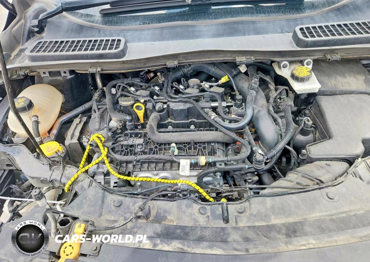 2019 Ford Escape Se VIN:1FMCU0GD9KUA07689 - 12