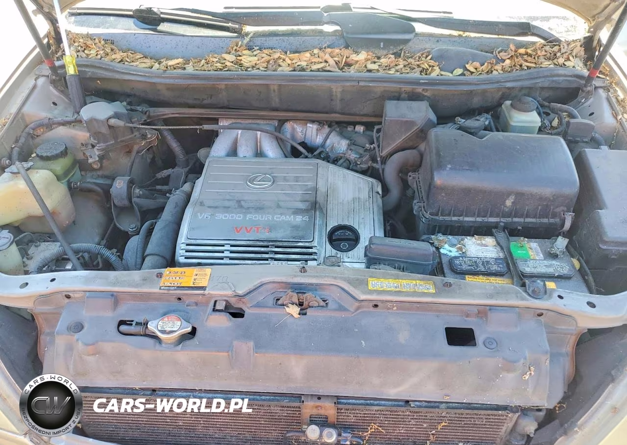 1999 Lexus Rx 300 VIN:JT6HF10U8X0034649 - 12