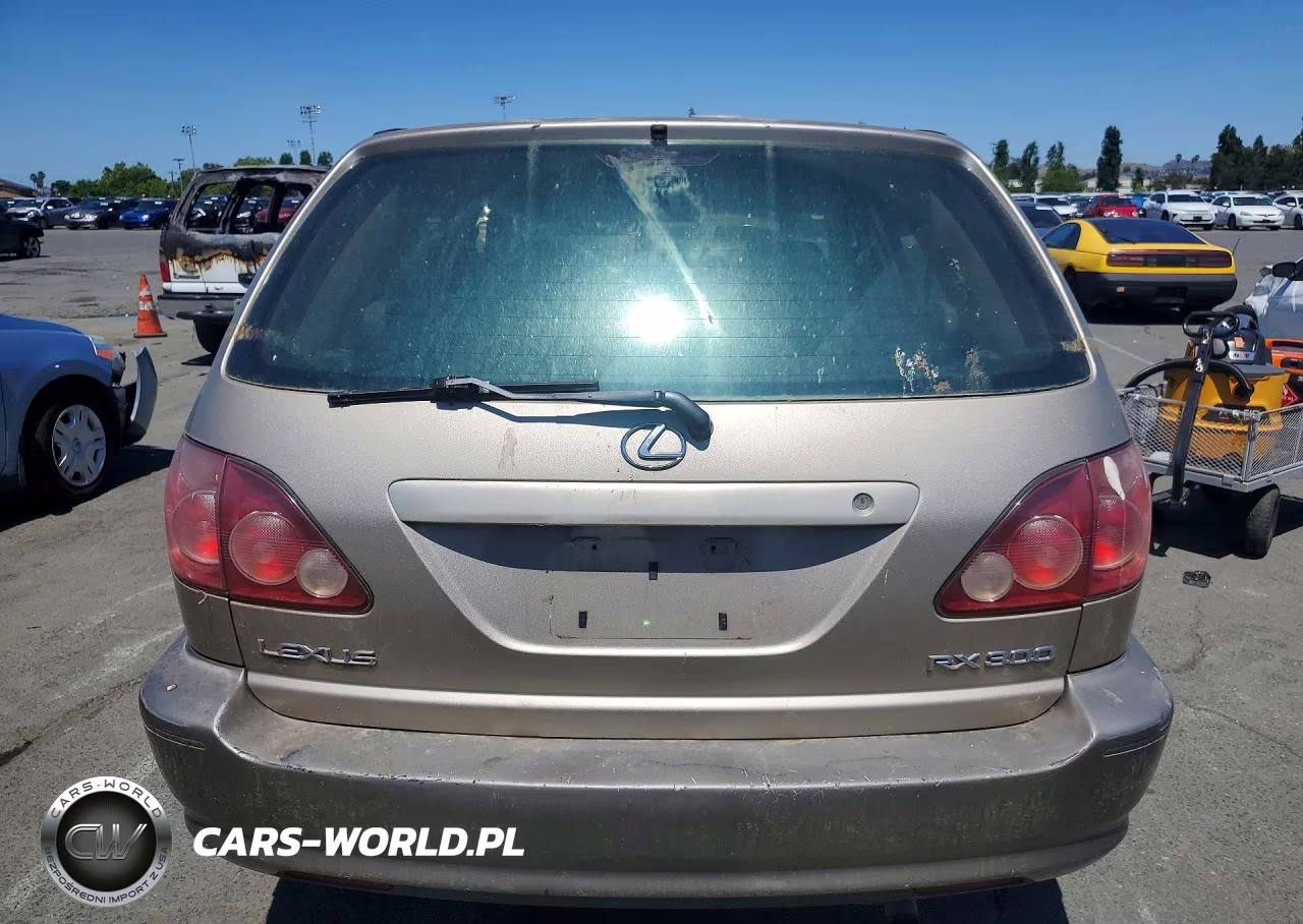1999 Lexus Rx 300 VIN:JT6HF10U8X0034649 - 6