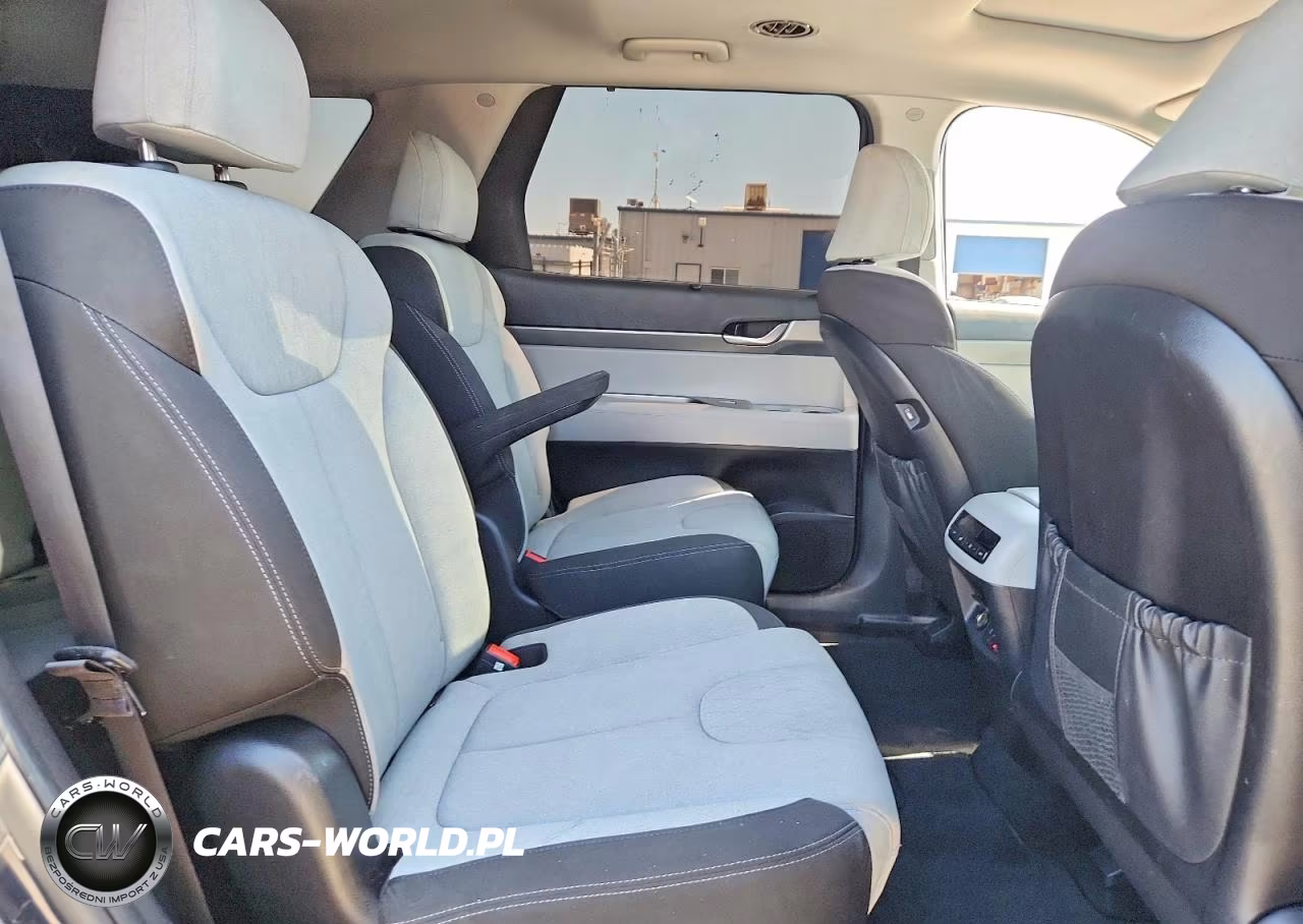 2020 Hyundai Palisade Sel VIN:KM8R34HE7LU170712 - 10